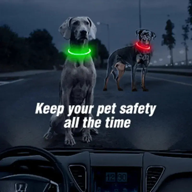 Safety Flashing Glow Dog Collar